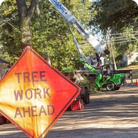 Hazardous Limb Removals