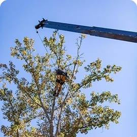 Limb Removal Requiring a Crane