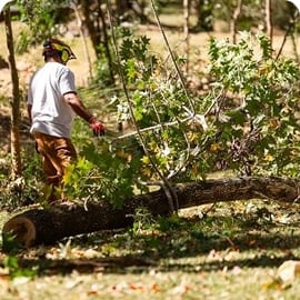 ROW (Right-of-Way) Clearing