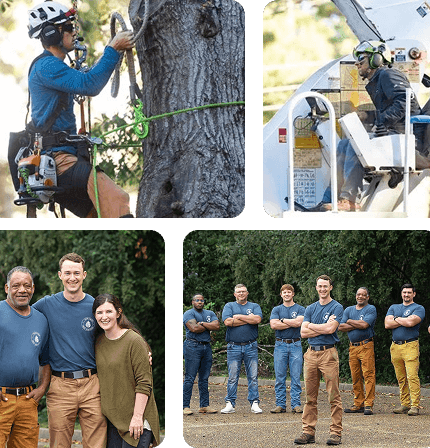 About Heritage Tree Services in Greater Jackson MS