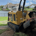 Professional stump grinding after tree removal in Jackson MS