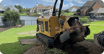 Professional stump grinding after tree removal in Jackson MS