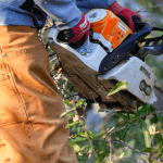 Overgrown tree limbs are creating a storm damage risk near a home in Jackson, MS