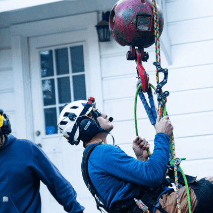 professional tree pruning service preparing trees for storm season