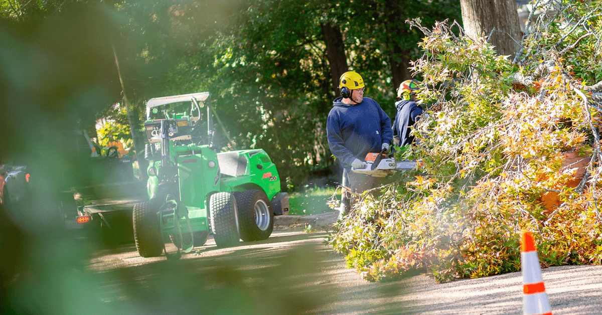 emergency tree service: Crane lifting storm-damaged tree off home in Clinton MS