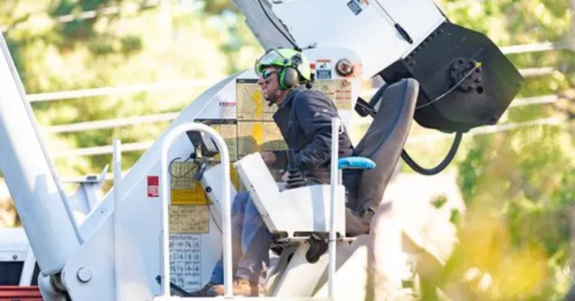 Choosing the Right Tree Service Company in the Greater Jackson Area