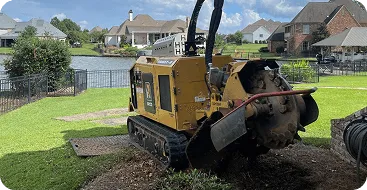 Professional stump grinding after tree removal in Jackson MS