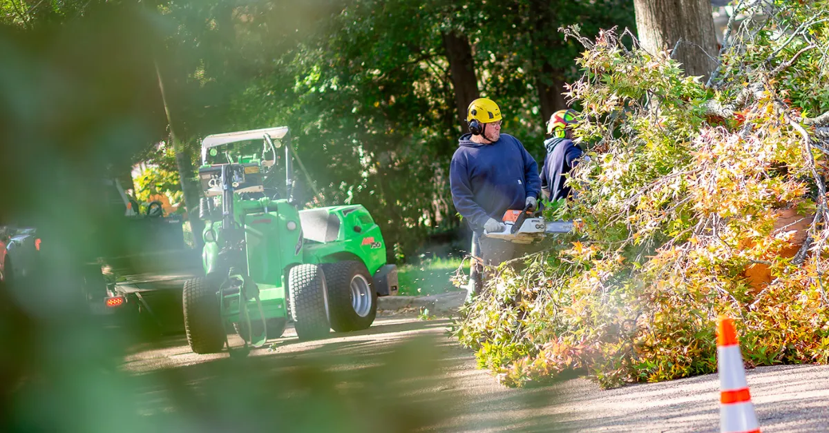 emergency tree service: Crane lifting storm-damaged tree off home in Clinton MS