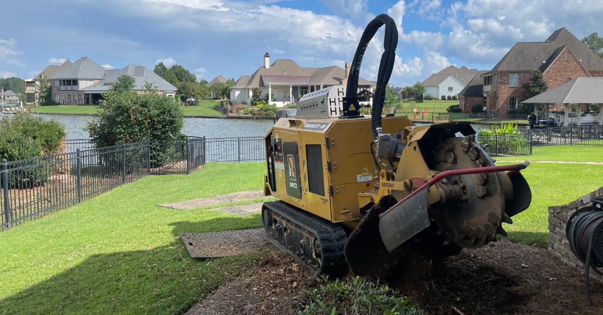 Technician operating a stump grinder to remove a tree stump in a residential yard in the Greater Jackson Area