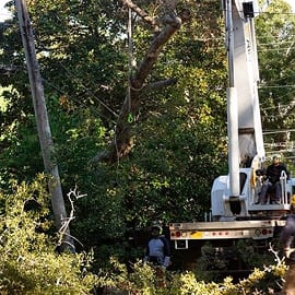 storm damage