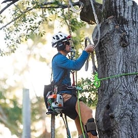 technical climbing