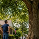 Homeowner standing near a large oak tree in an Evansville residential yard
